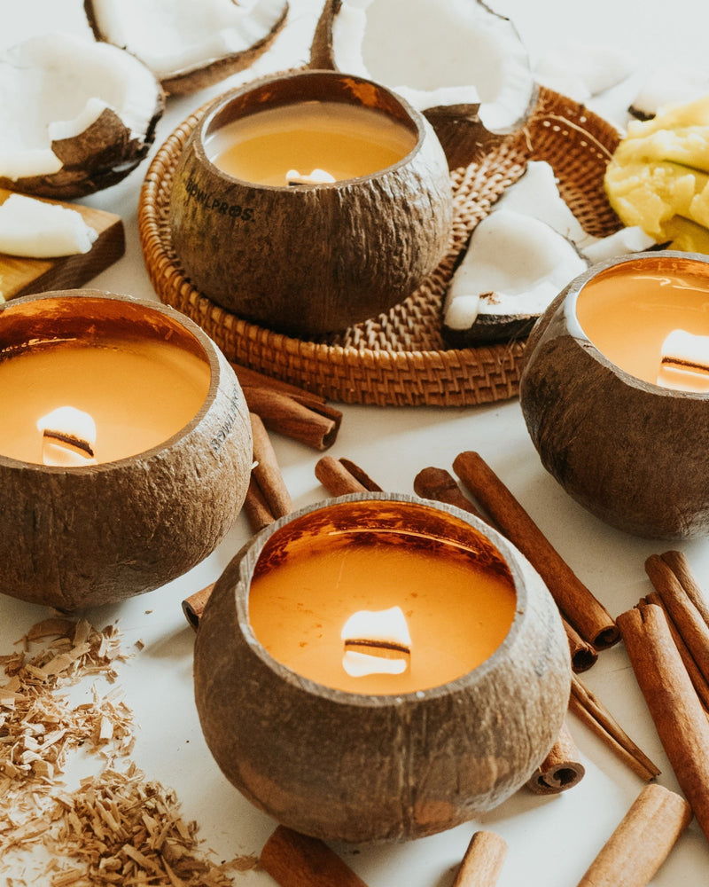 Paquete Coco Vela Holiday