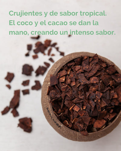 Detalles Chips de coco con cacao